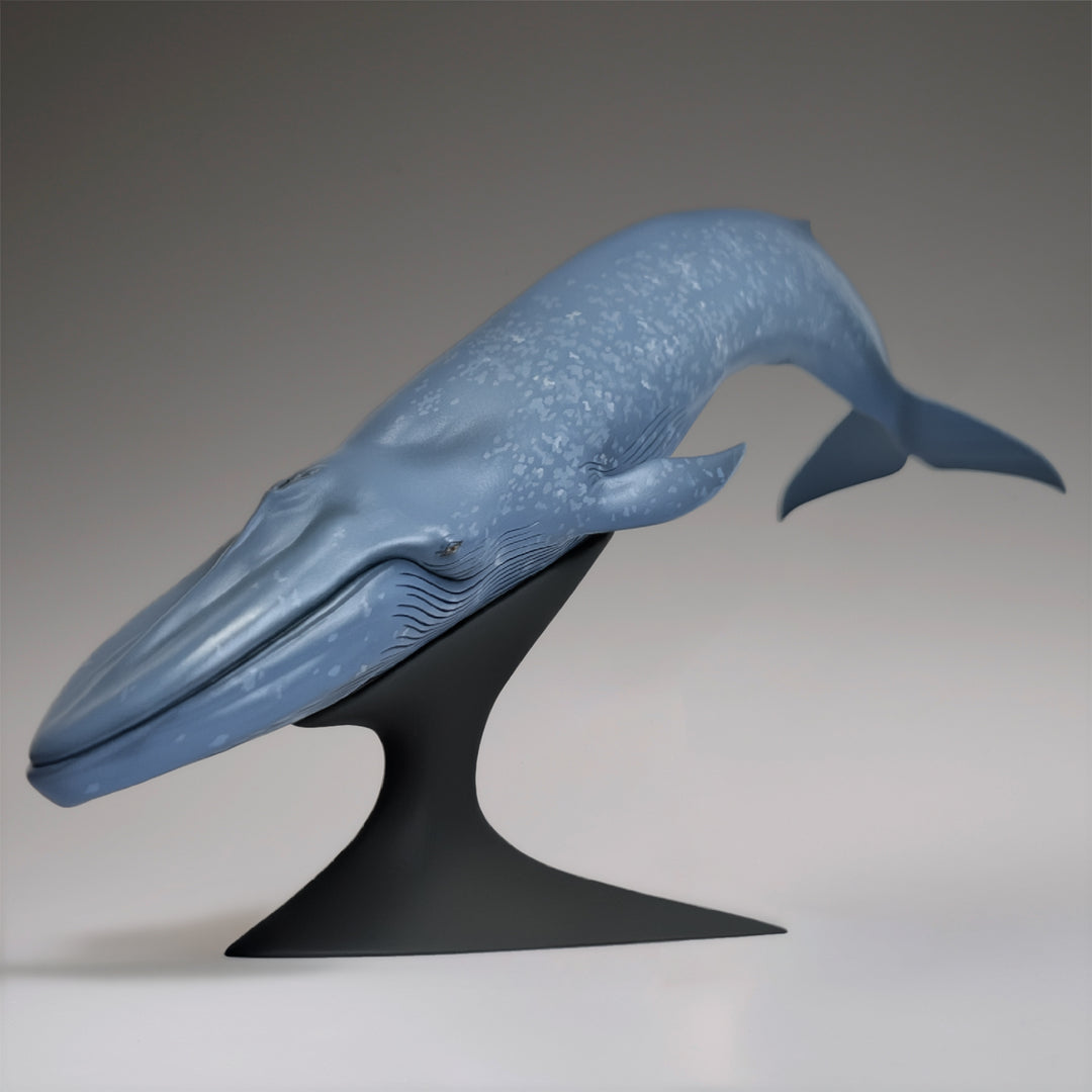 シロナガスクジラ 国立科学博物館 常設展（屋外展示）
