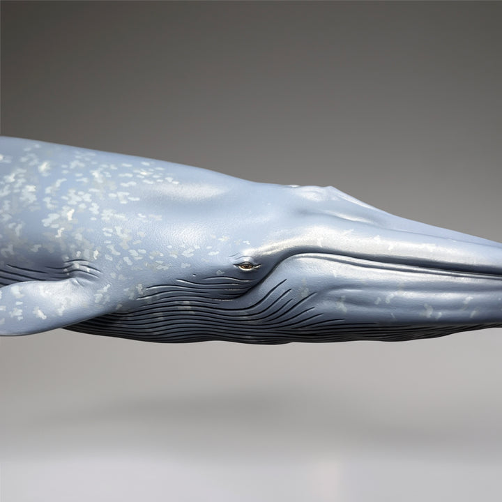 シロナガスクジラ 国立科学博物館 常設展（屋外展示）