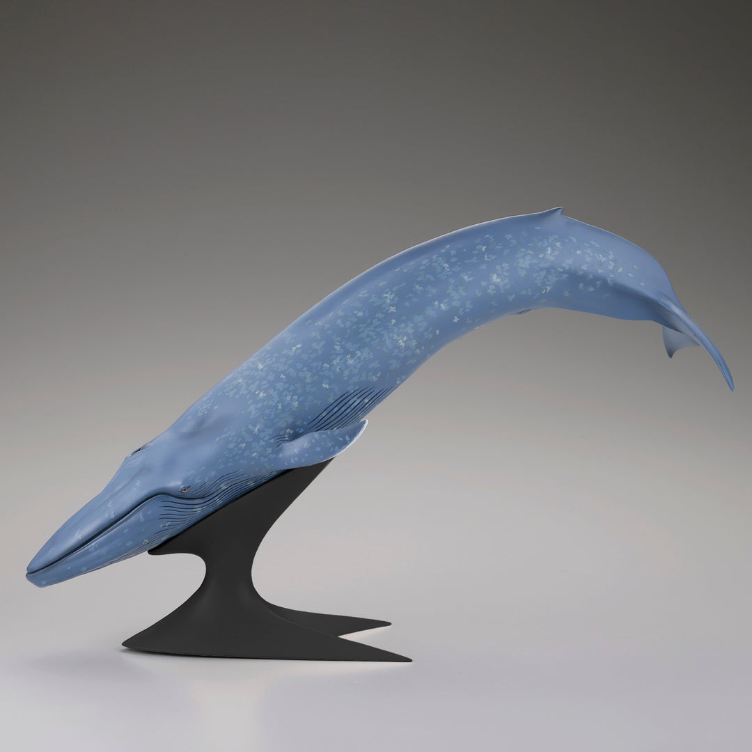 シロナガスクジラ 国立科学博物館 常設展（屋外展示）
