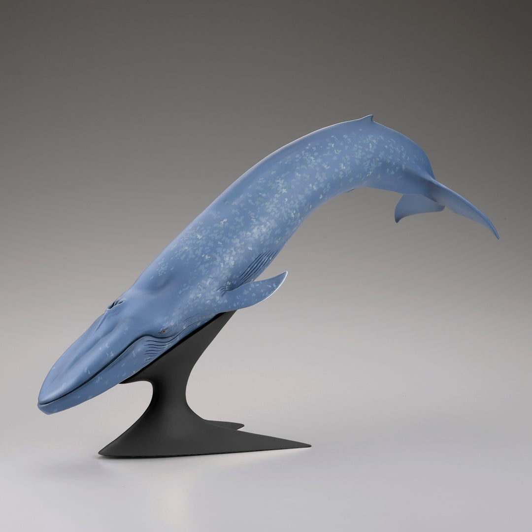 シロナガスクジラ 国立科学博物館 常設展（屋外展示）