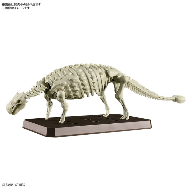 プラノサウルス アンキロサウルス
