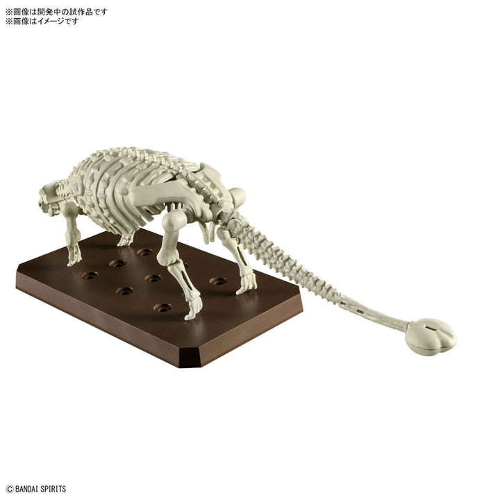 プラノサウルス アンキロサウルス