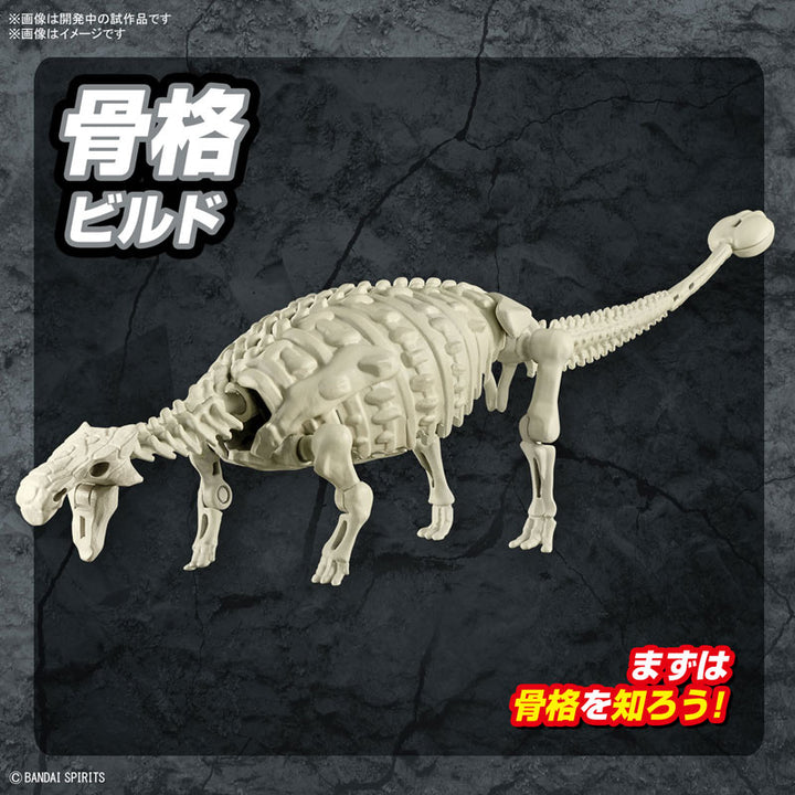 プラノサウルス アンキロサウルス