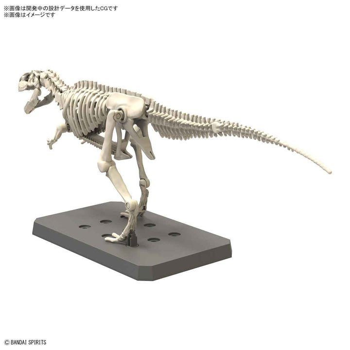 プラノサウルス ギガノトサウルス