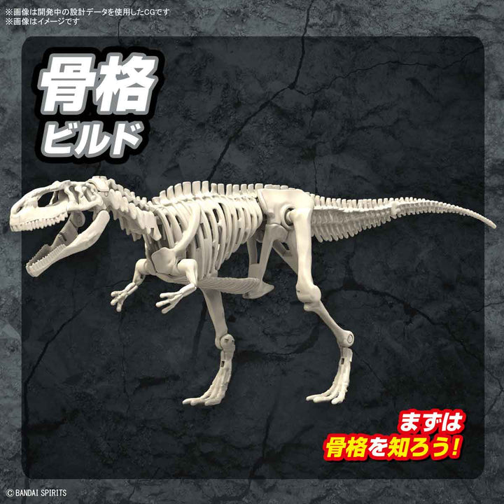 プラノサウルス ギガノトサウルス