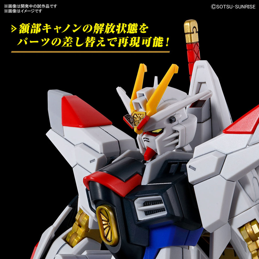 【5月予約分】HG マイティーストライクフリーダムガンダム 1/144スケール