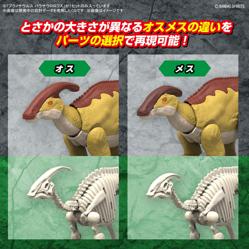 プラノサウルス パラサウロロフス – SOOTANG HOBBY