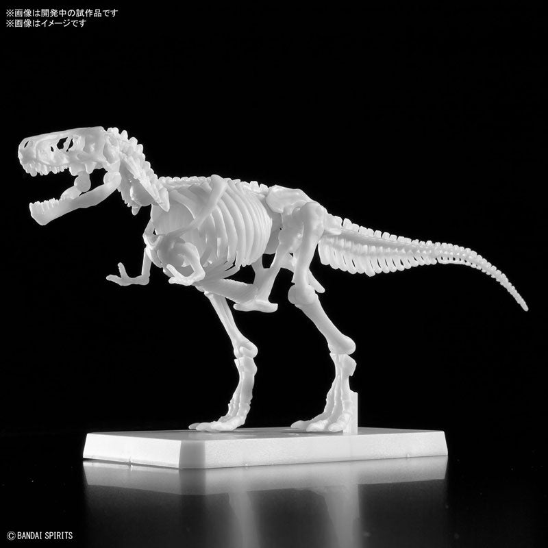 プラノサウルス ティラノサウルス ペインティングVer. – SOOTANG HOBBY