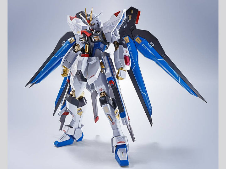 METAL ROBOT魂 ＜SIDE MS＞ ストライクフリーダムガンダム [Re:Coordinate]