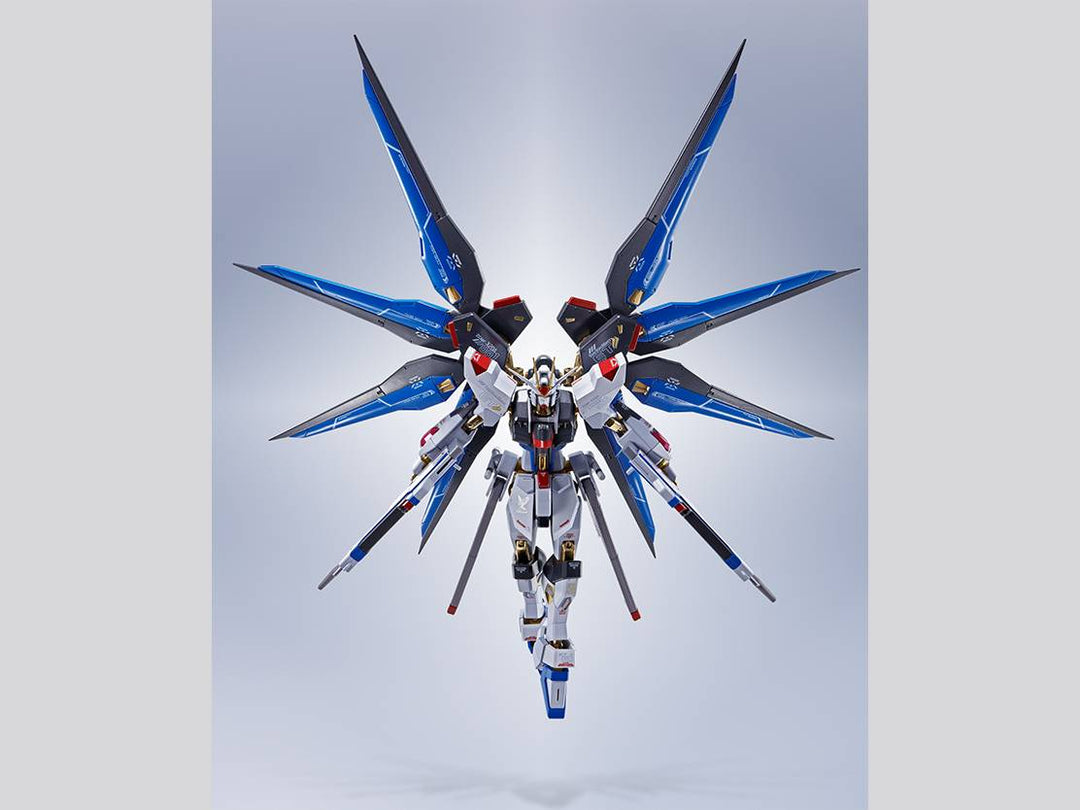 METAL ROBOT魂 ＜SIDE MS＞ ストライクフリーダムガンダム [Re:Coordinate]