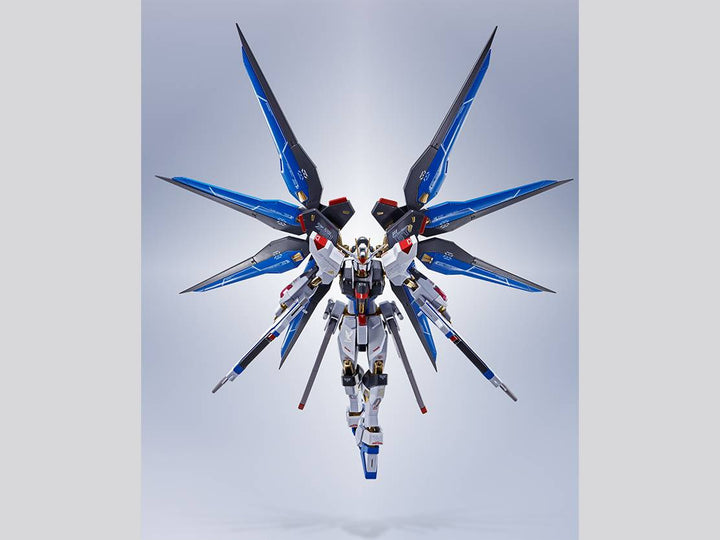 METAL ROBOT魂 ＜SIDE MS＞ ストライクフリーダムガンダム [Re:Coordinate]