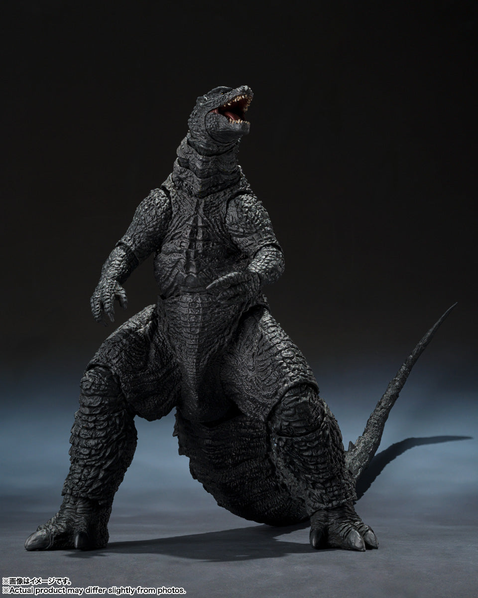 S.H.MonsterArts ゴジラ (2014) 『GODZILLA ゴジラ』 -Movie Graphic Plus-