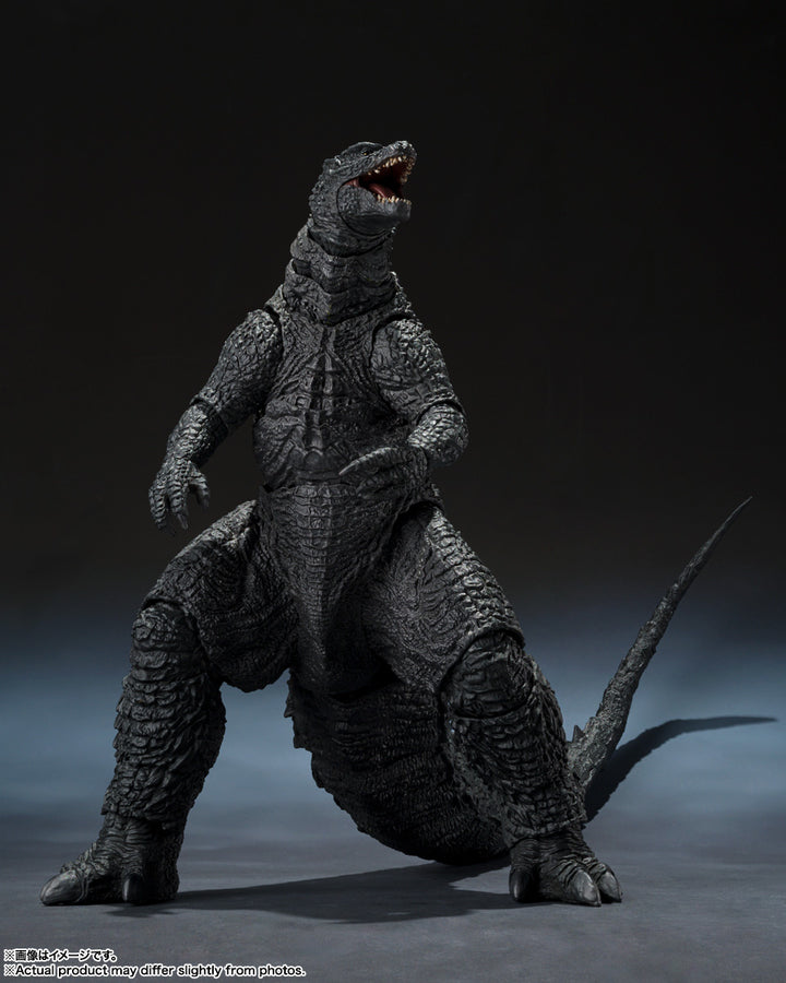 S.H.MonsterArts ゴジラ (2014) 『GODZILLA ゴジラ』 -Movie Graphic Plus-
