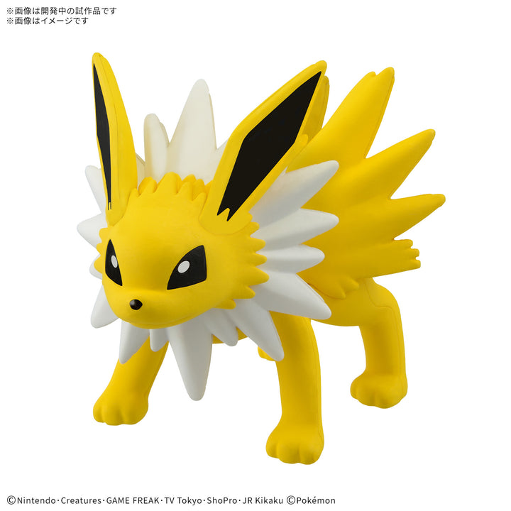 ポケプラクイック!! 26 サンダース