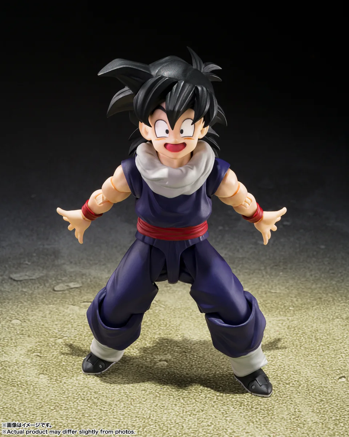 S.H.Figuarts 孫悟飯〈Z戦士〉（初回限定〈Z戦士〉集結台座A付属版）