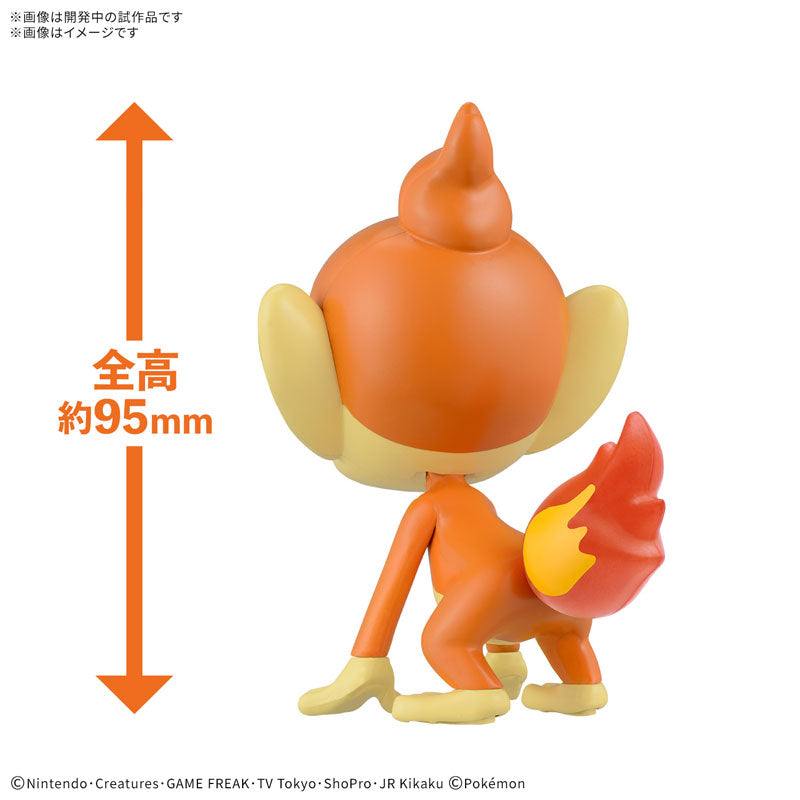 ポケプラクイック!! 29 ヒコザル