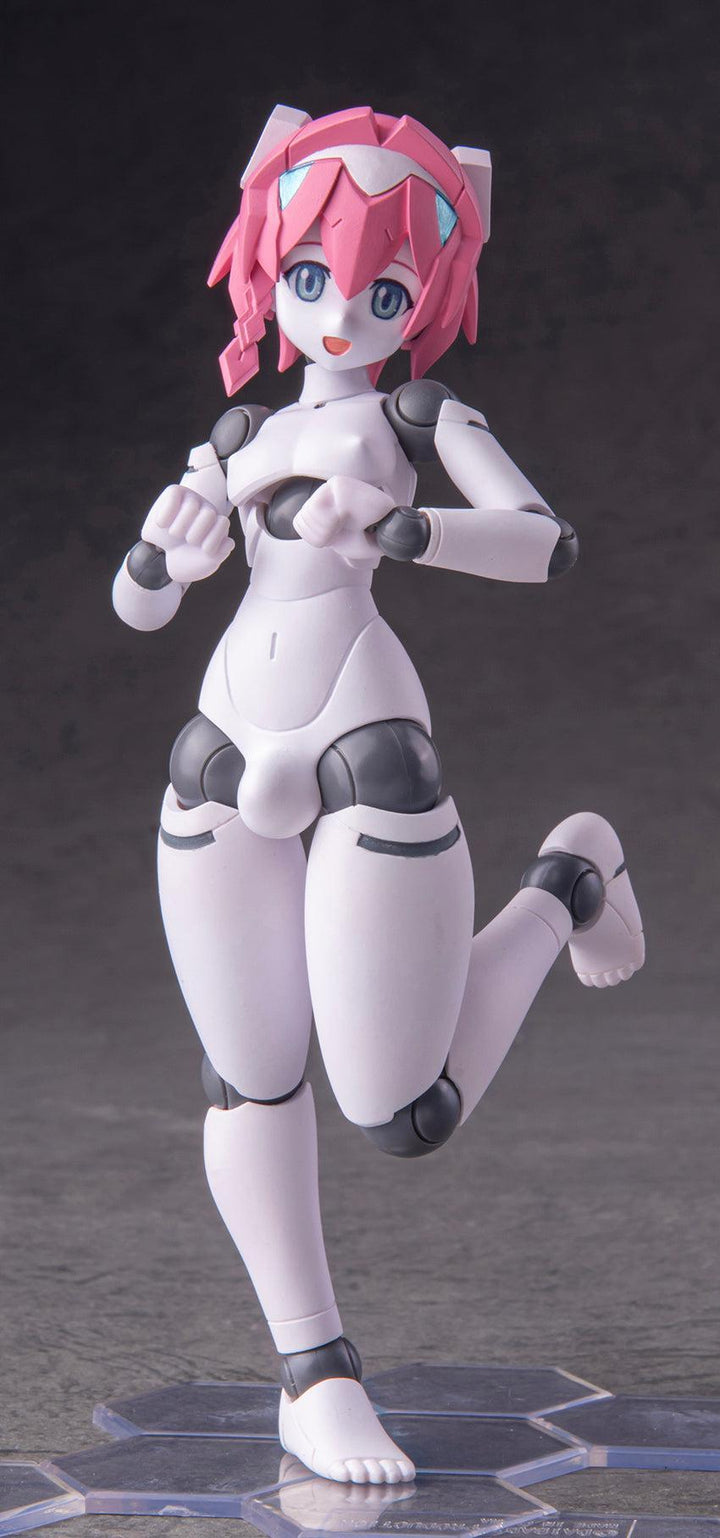 ポリニアン MLL2-V2エルマー