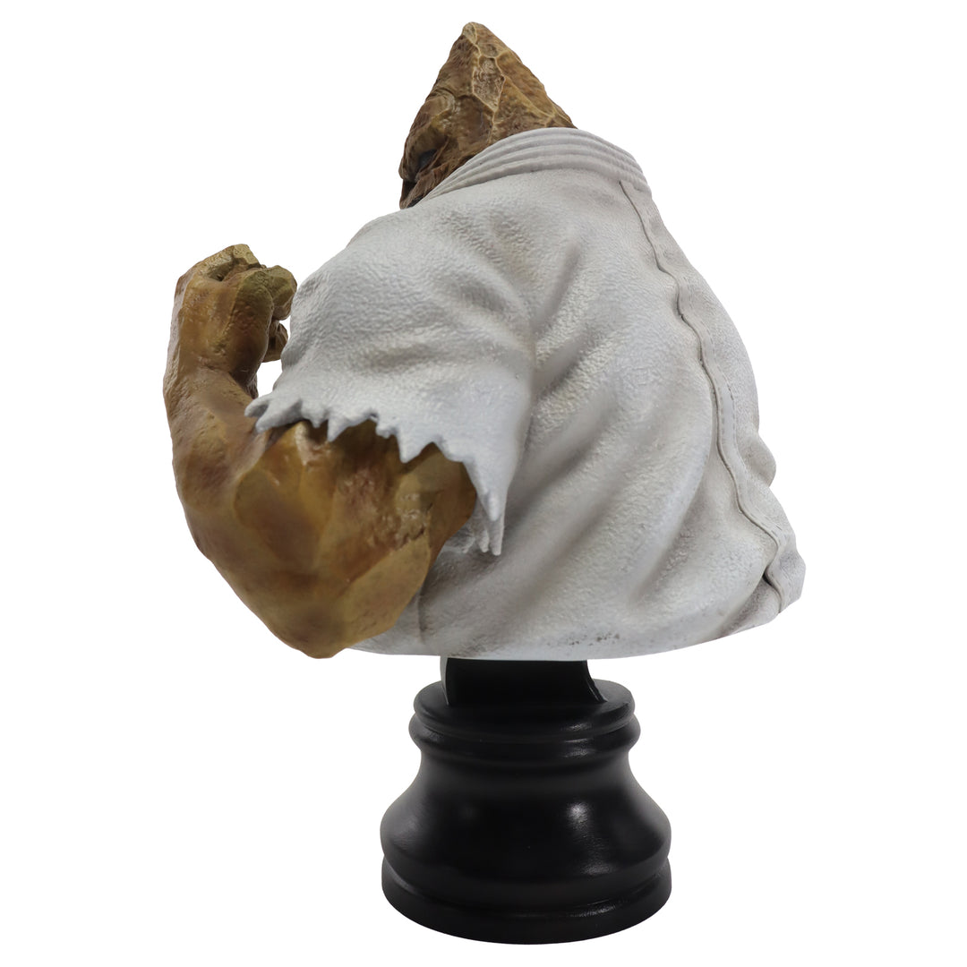 BMC キン肉マンシリーズ No.11 ザ・魔雲天