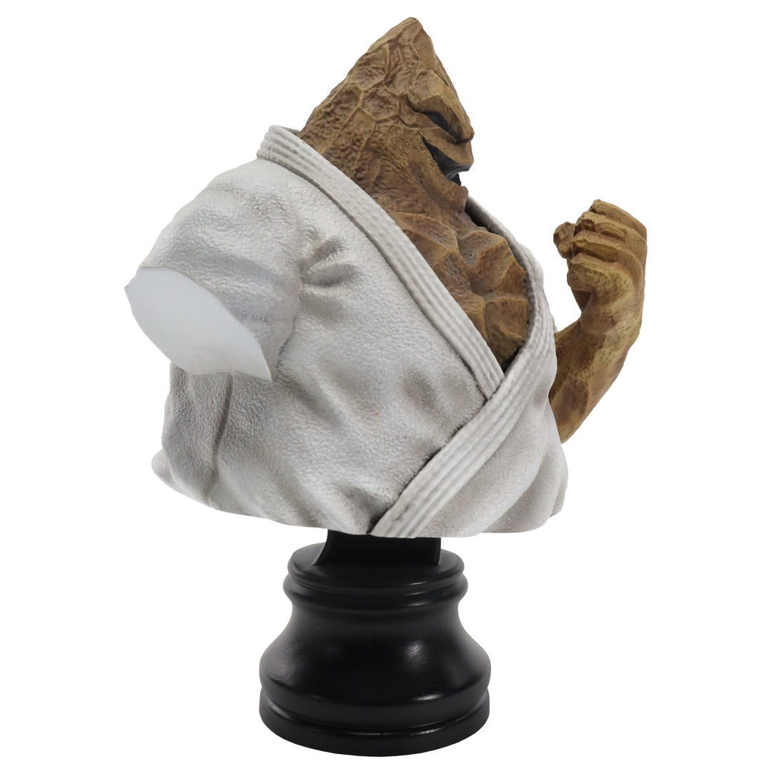 BMC キン肉マンシリーズ No.11 ザ・魔雲天