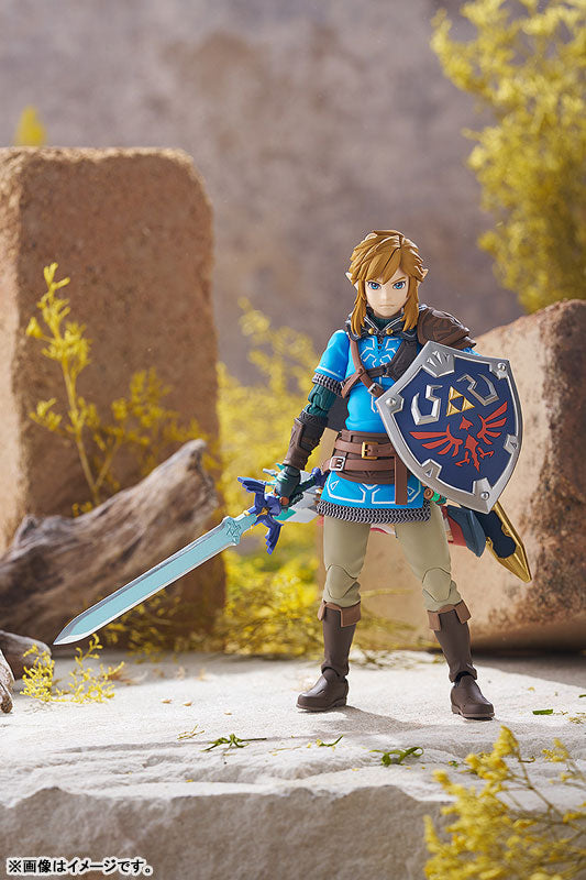 ゼルダの伝説 ティアーズ おっきかっ オブ ザ キングダム