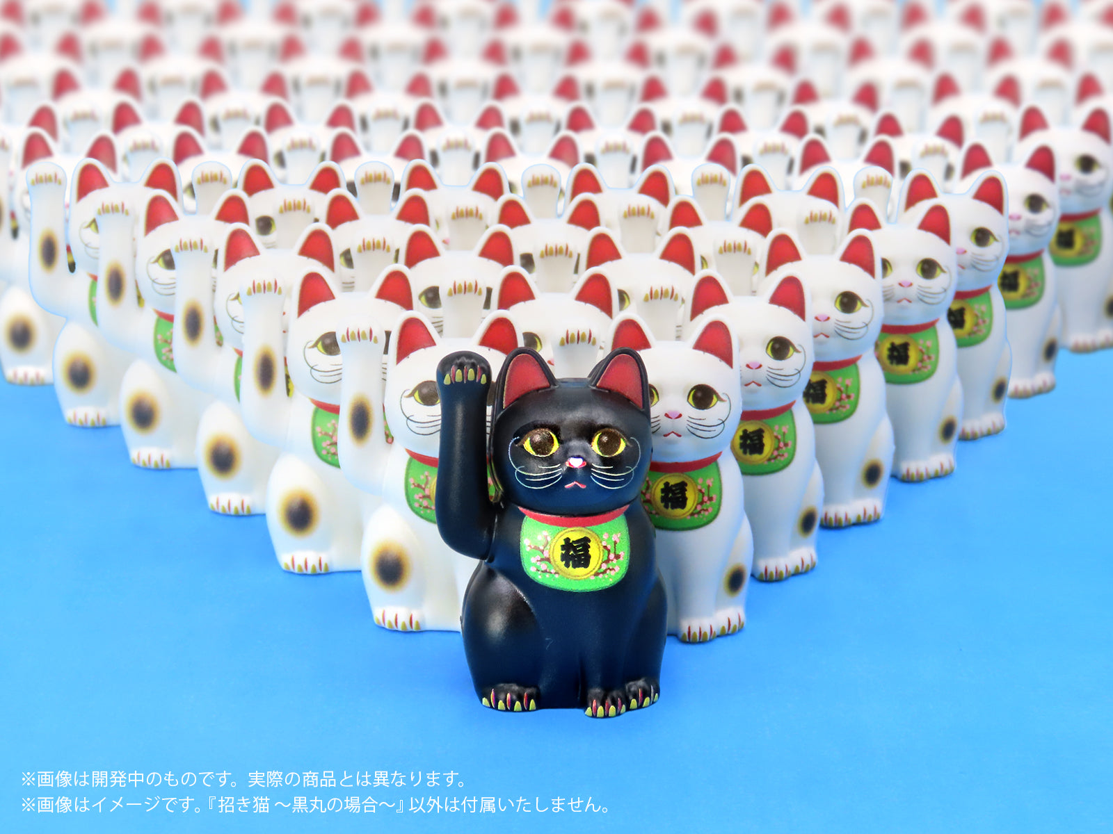キラキラ⭐️　　ひょっこり猫 4582119990596_000a.jpg?