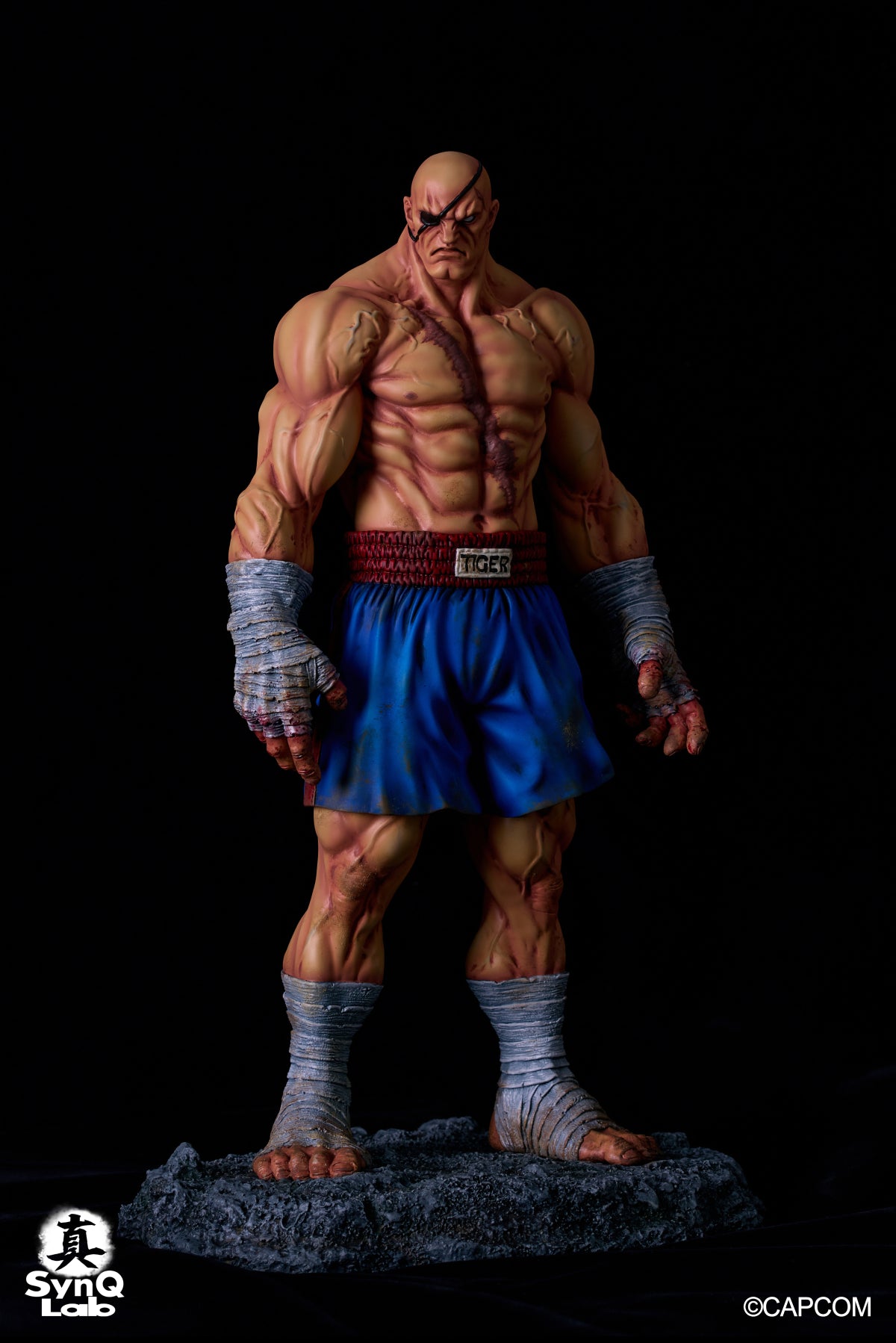 SOTA TOYS CAPCOM STREET FIGHTER ROUND1 SAGAT アクション