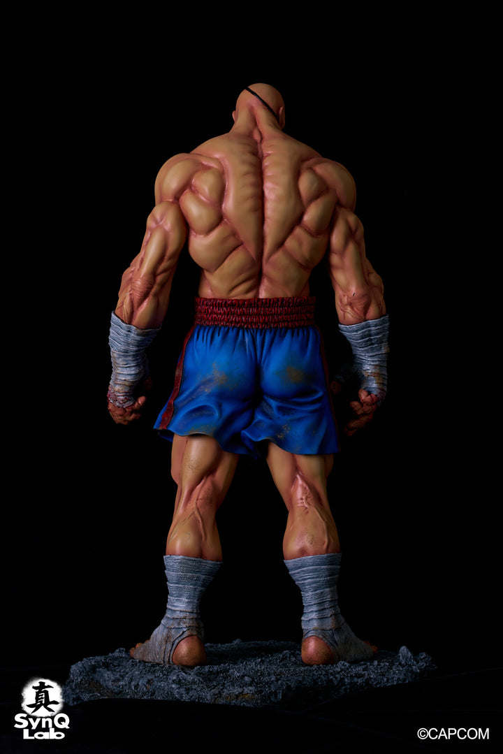 サガット 1/6スケール