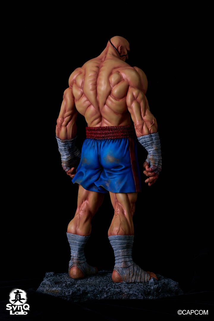 サガット 1/6スケール