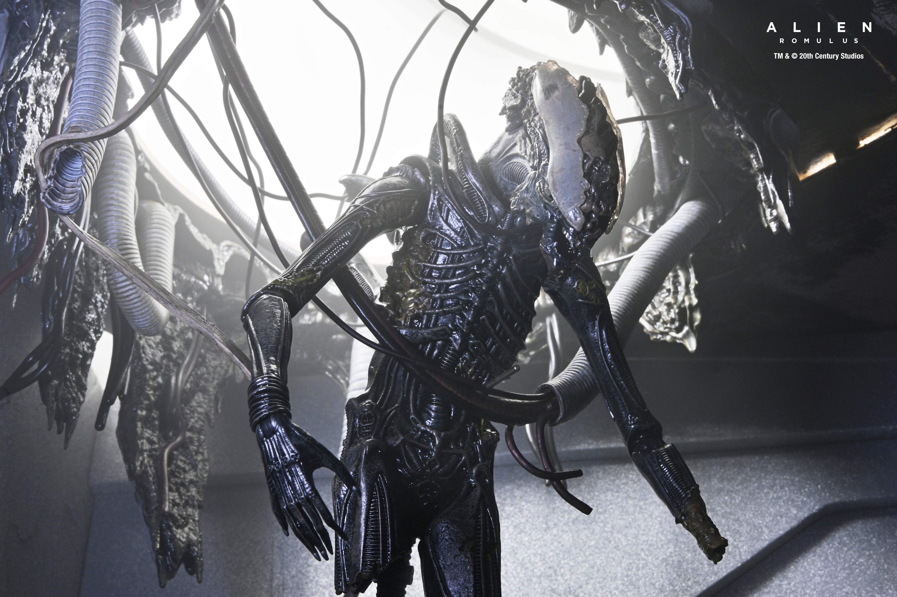 ゼノモーフXX121 サスペンデッド・ラボ DX 7インチ アクション