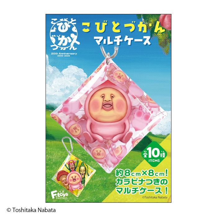 [BOX販売]こびとづかん マルチケース -10個入りBOX-