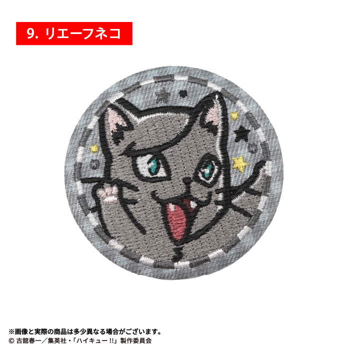 [BOX販売]ハイキュー!! 刺しゅう缶バッジ -10個入りBOX-