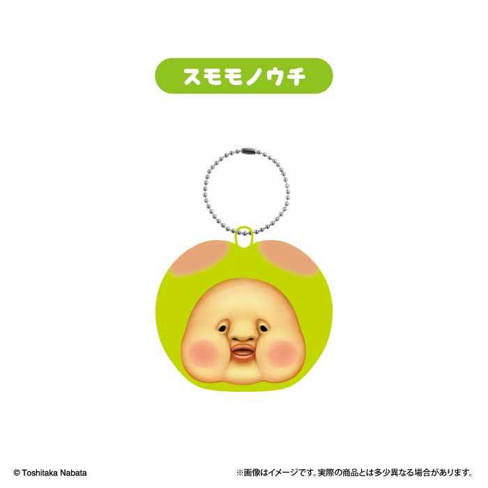 [BOX販売]CV こびとづかん クッションキーホルダー2 -12個入りBOX-