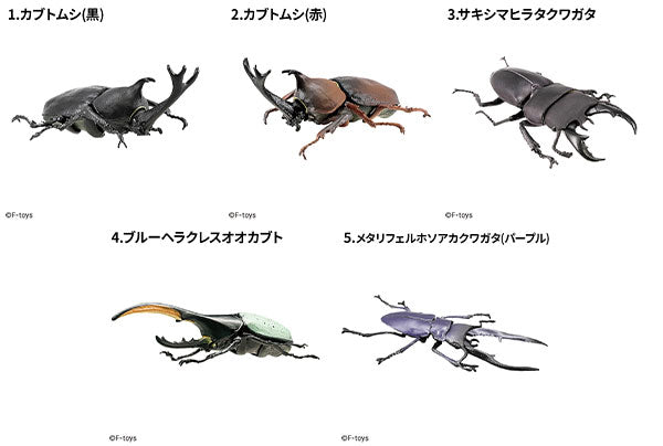 [BOX販売]昆虫ハンター カブトムシ×クワガタ -10個入りBOX-