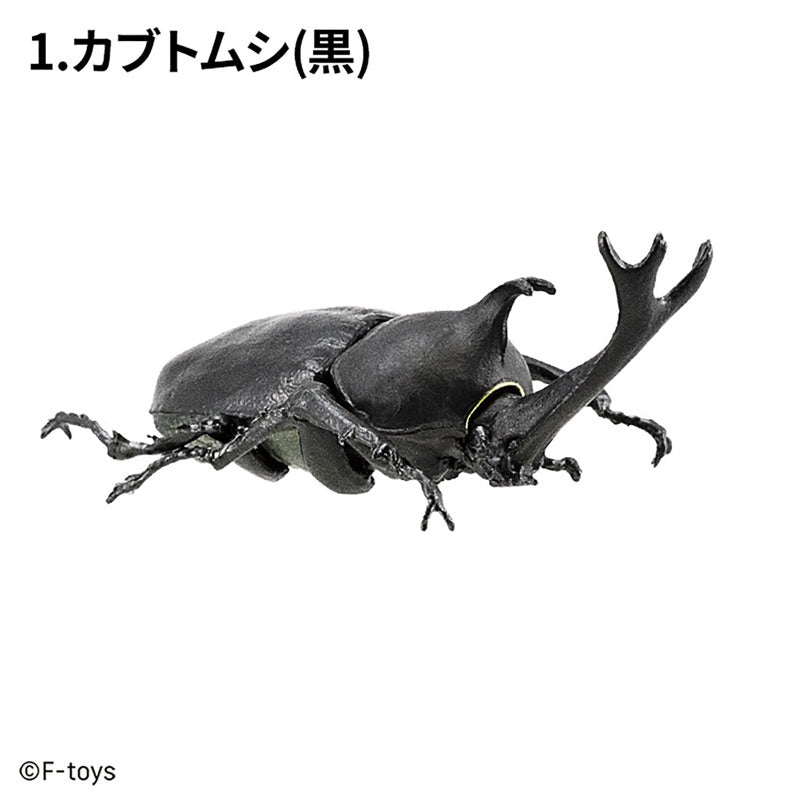 [BOX販売]昆虫ハンター カブトムシ×クワガタ -10個入りBOX-