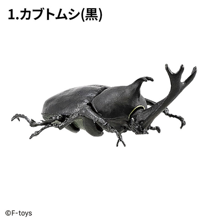 [BOX販売]昆虫ハンター カブトムシ×クワガタ -10個入りBOX-