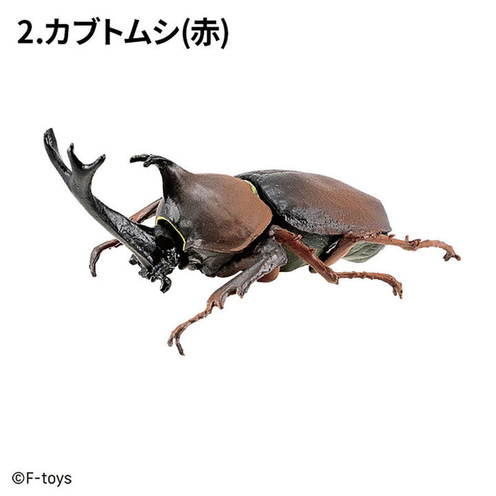 [BOX販売]昆虫ハンター カブトムシ×クワガタ -10個入りBOX-