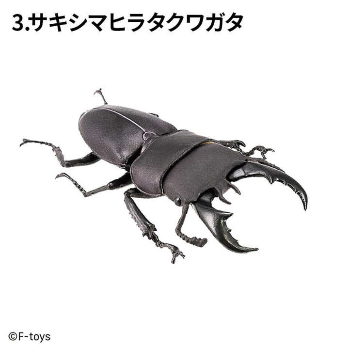 [BOX販売]昆虫ハンター カブトムシ×クワガタ -10個入りBOX-