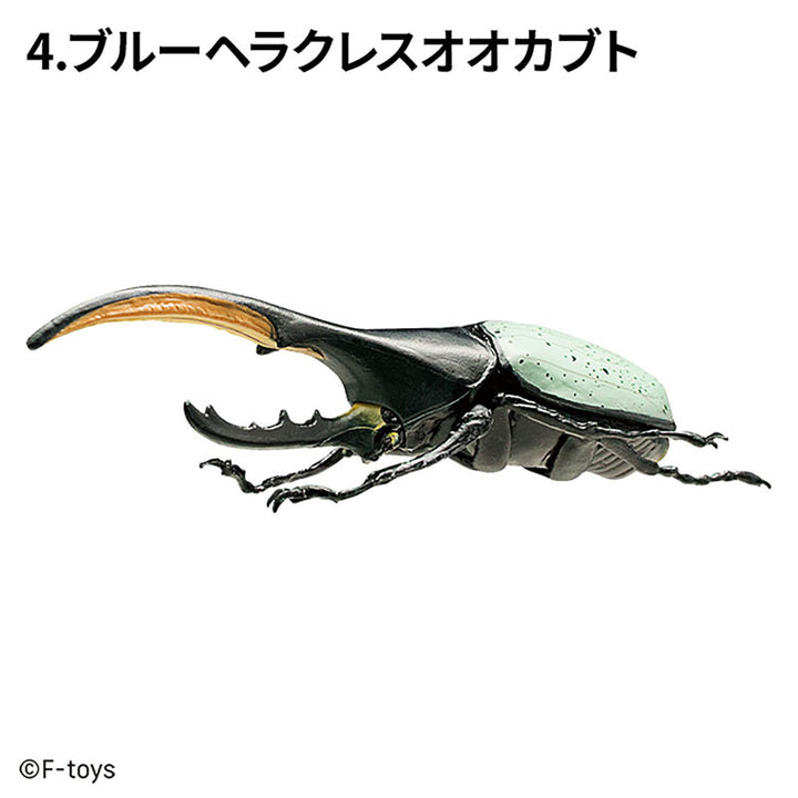 [BOX販売]昆虫ハンター カブトムシ×クワガタ -10個入りBOX-