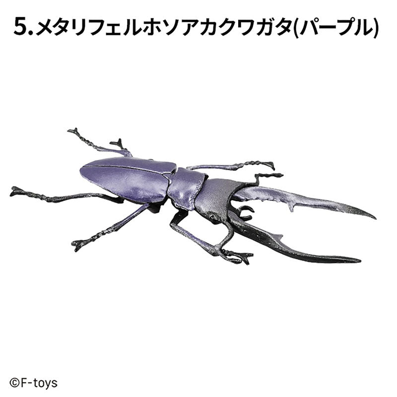 [BOX販売]昆虫ハンター カブトムシ×クワガタ -10個入りBOX-