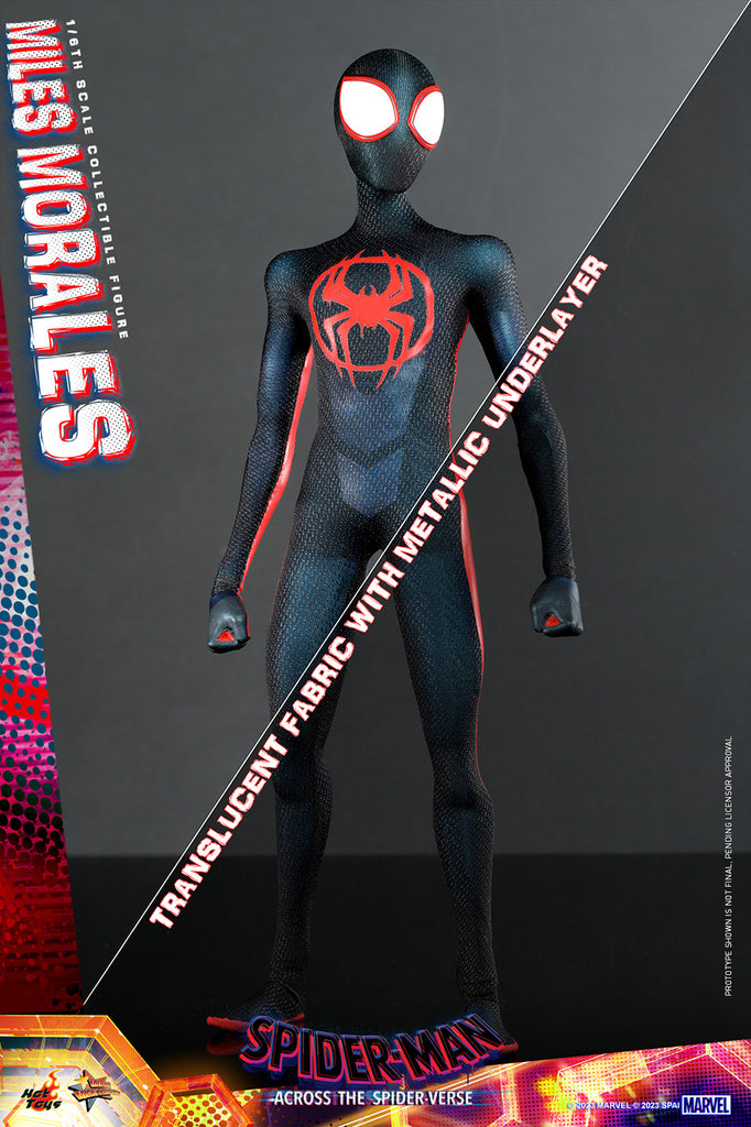 ☆新品☆HOTTOYS ホットトイズ 1/6 Miles Morales