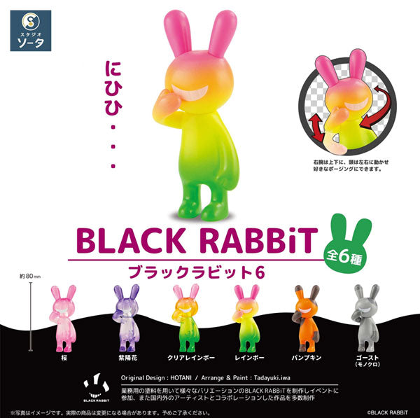 【オータムセール対象】 [BOX販売]BLACK RABBiT6 -6個入りBOX-