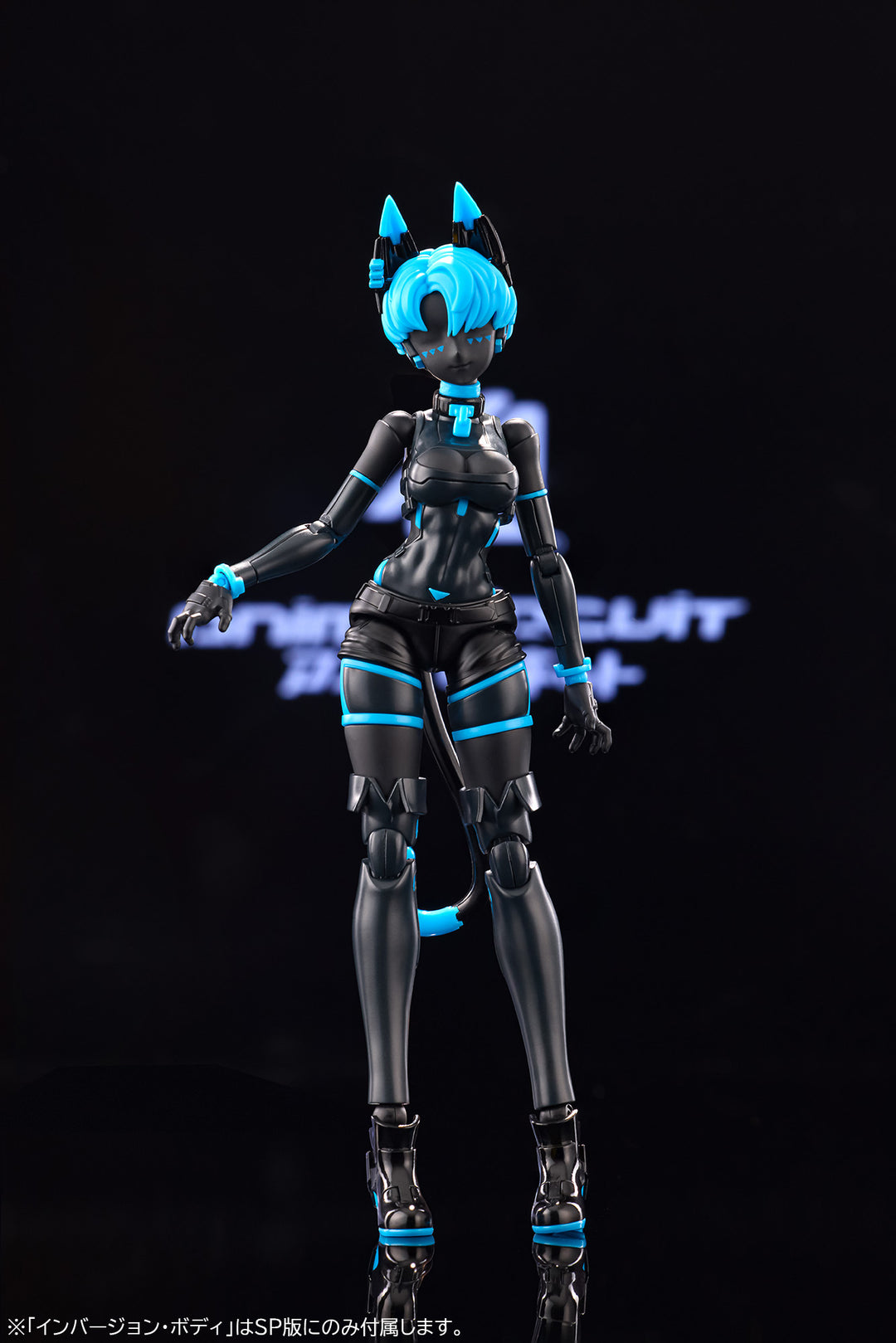 アニマサーキット ソラ・ザ・キャット SP 1/12スケール