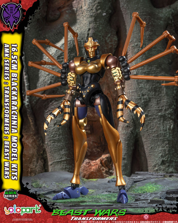 AMK ④ブラックウィドー