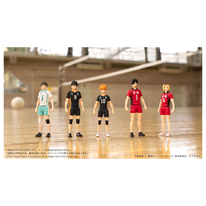 COLLEKAZARO CK-H01 日向翔陽