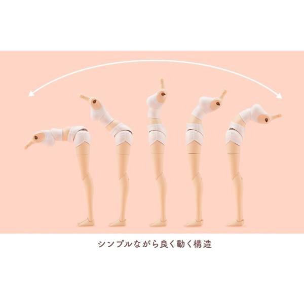 創彩少女庭園 ドレスアップボディ【L】 1/10スケール