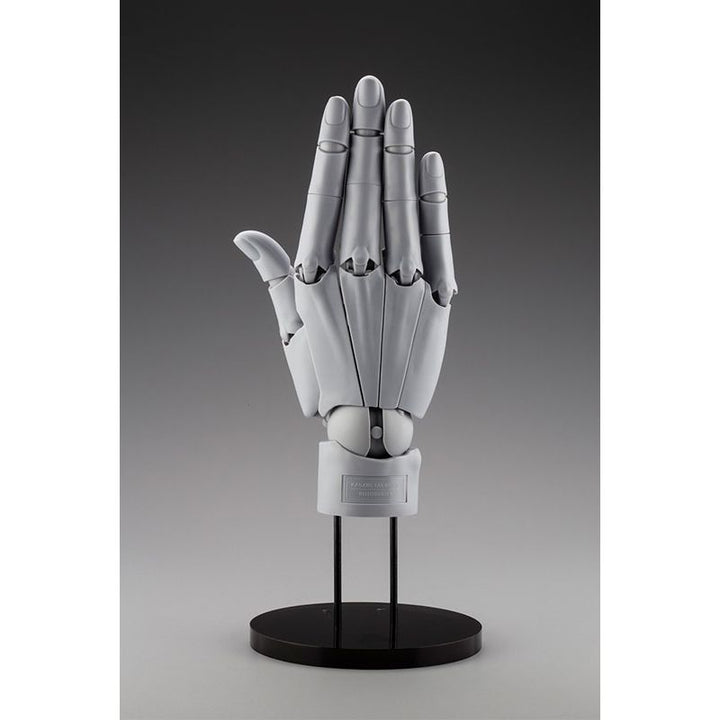 ARTIST SUPPORT ITEM ハンドモデル/R -GRAY- 1/1スケール