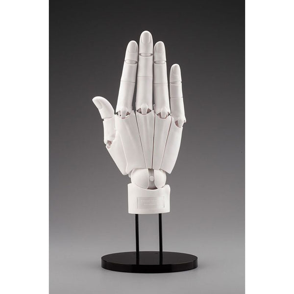ARTIST SUPPORT ITEM ハンドモデル/R -WHITE- 1/1スケール