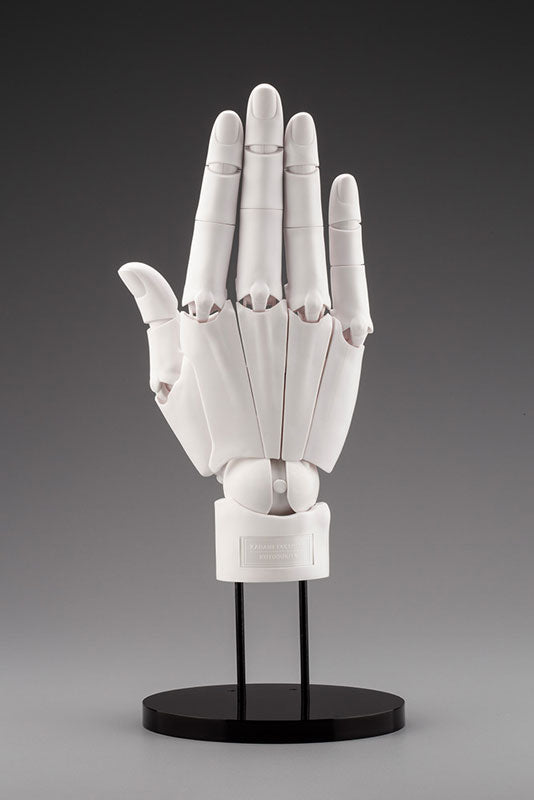ARTIST SUPPORT ITEM ハンドモデル/R -WHITE- 1/1スケール