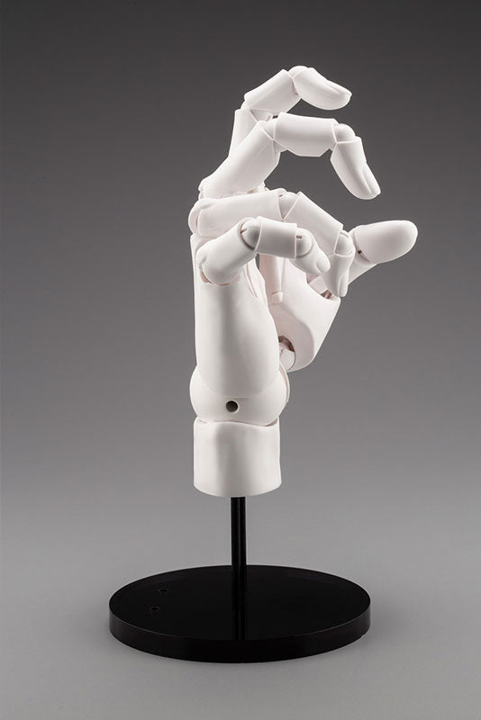 ARTIST SUPPORT ITEM ハンドモデル/R -WHITE- 1/1スケール