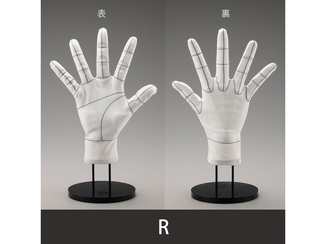 ARTIST SUPPORT ITEM ハンドモデル専用手袋/R -Wireframe-
